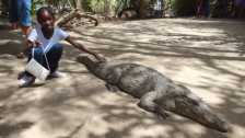 Krokodyle w Katchikally są bardzo przyjazne.